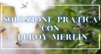La soluzione pratica, indolore e soprattutto economica contro mosche e zanzare: basta andare da Leroy Merlin